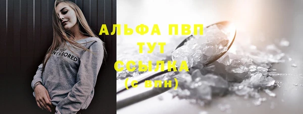 СК Пересвет