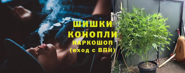 ГАЛЛЮЦИНОГЕННЫЕ ГРИБЫ Алексин
