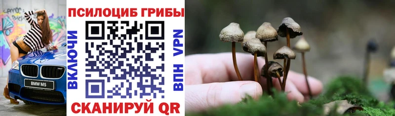 Галлюциногенные грибы Psilocybine cubensis Андреаполь