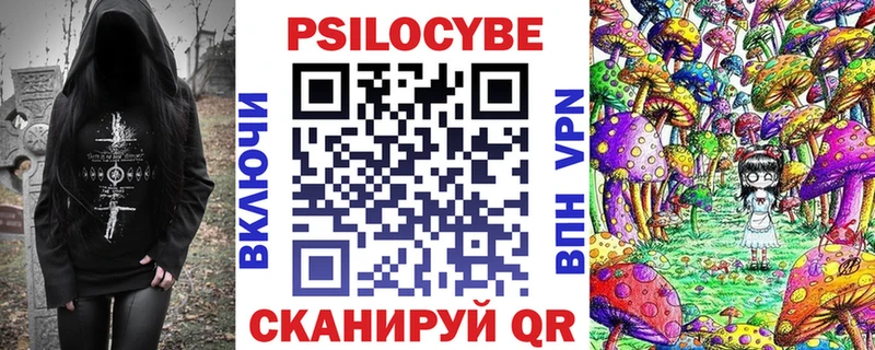 купить наркотик  Андреаполь  Псилоцибиновые грибы MAGIC MUSHROOMS 